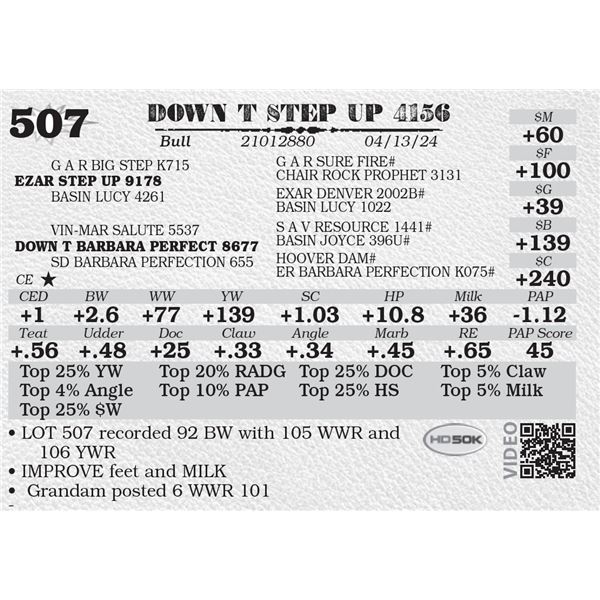 DOWN T STEP UP 4156