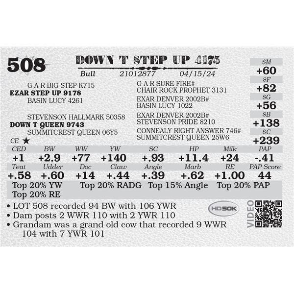 DOWN T STEP UP 4175