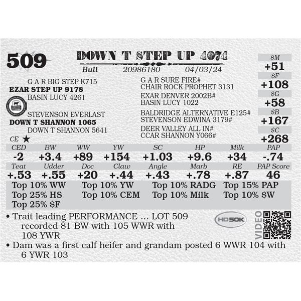 DOWN T STEP UP 4074