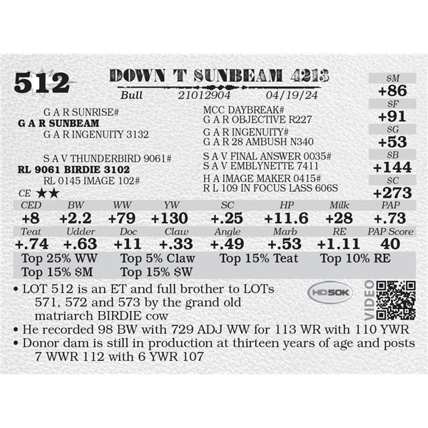 DOWN T SUNBEAM 4213