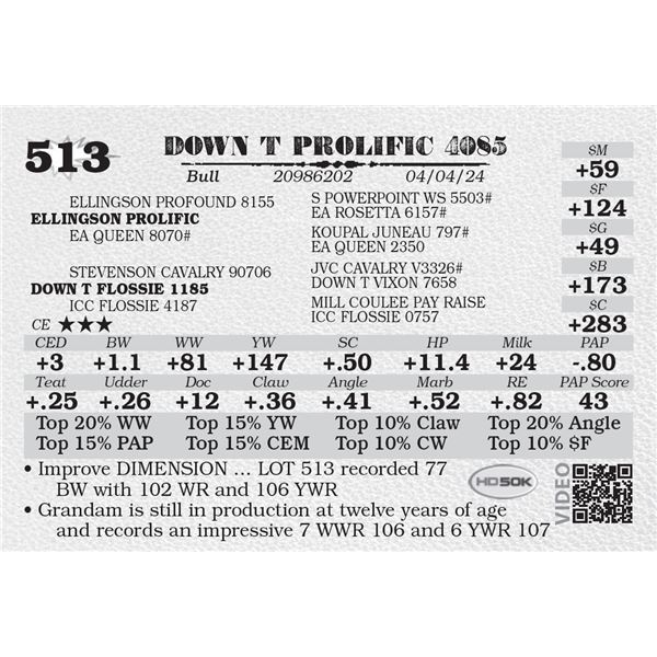 DOWN T PROLIFIC 4085