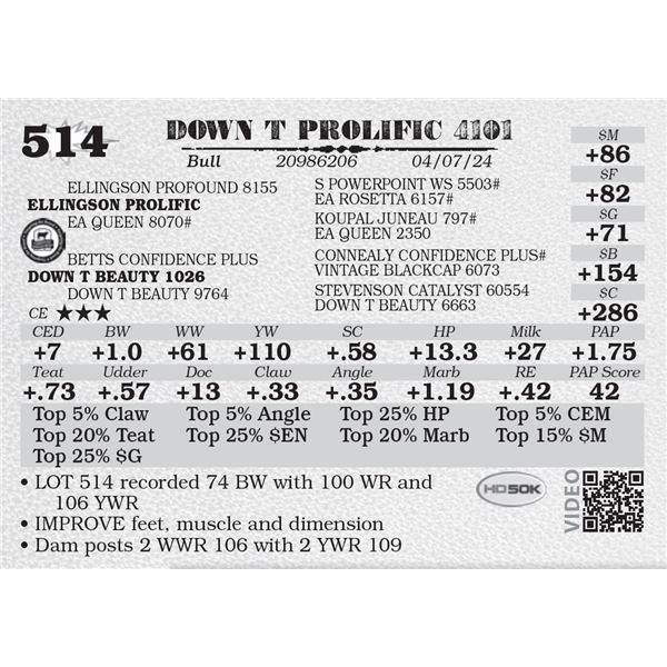 DOWN T PROLIFIC 4101