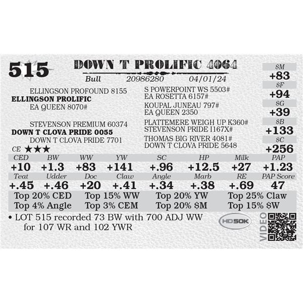 DOWN T PROLIFIC 4064