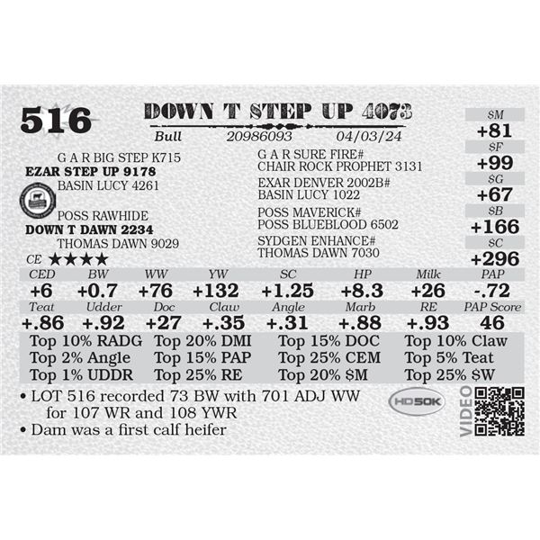 DOWN T STEP UP 4073