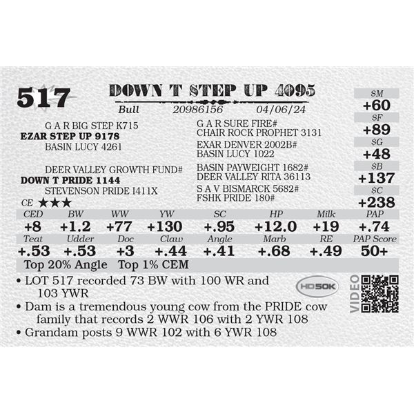 DOWN T STEP UP 4095