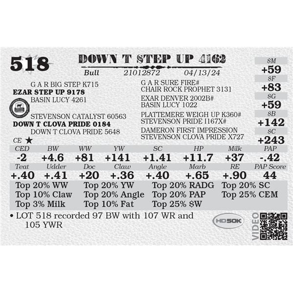DOWN T STEP UP 4162