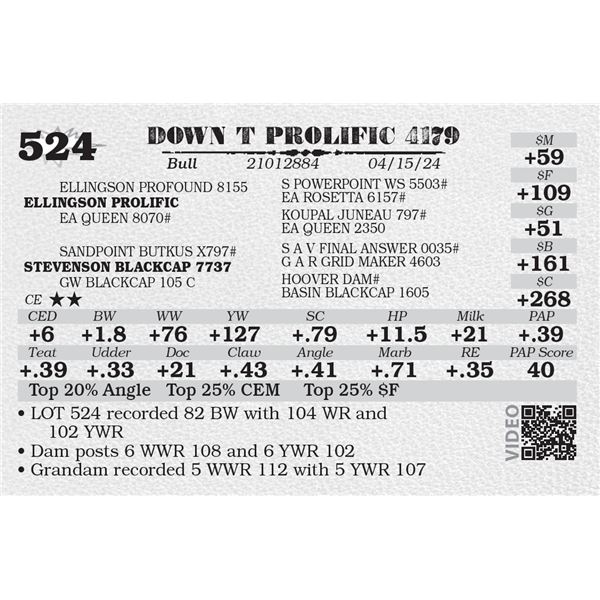 DOWN T PROLIFIC 4179