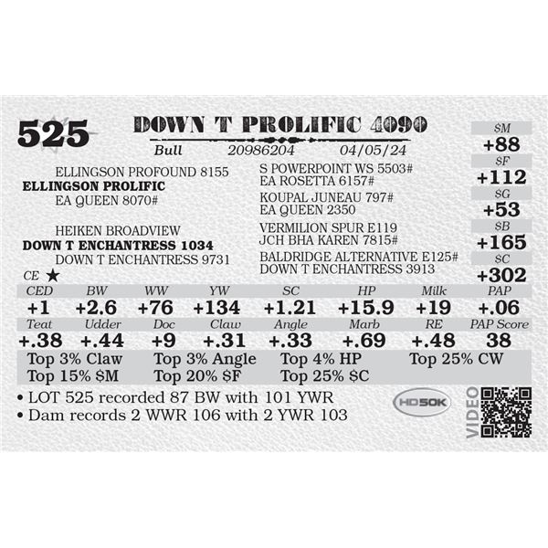 DOWN T PROLIFIC 4090