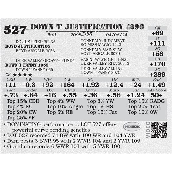 DOWN T JUSTIFICATION 4096