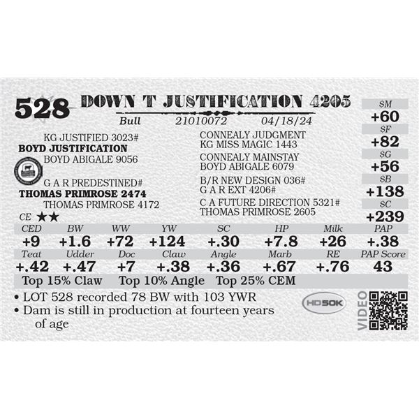 DOWN T JUSTIFICATION 4205
