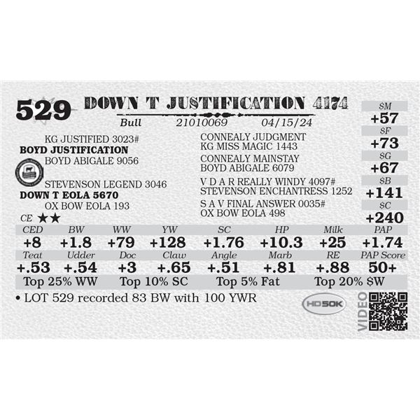 DOWN T JUSTIFICATION 4174