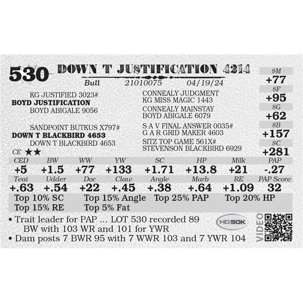 DOWN T JUSTIFICATION 4214