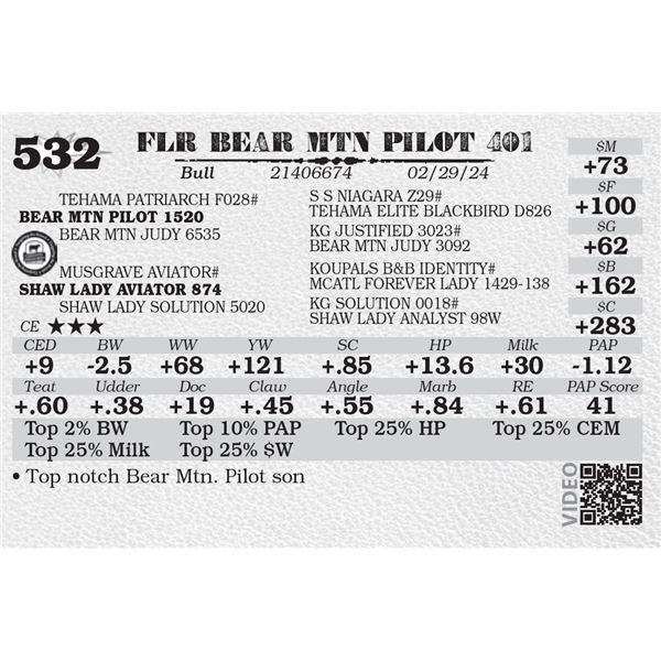 FLR BEAR MTN PILOT 401