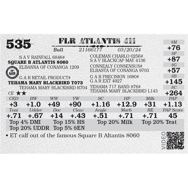 FLR ATLANTIS 411