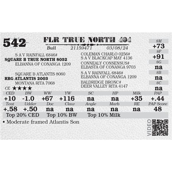 FLR TRUE NORTH 404