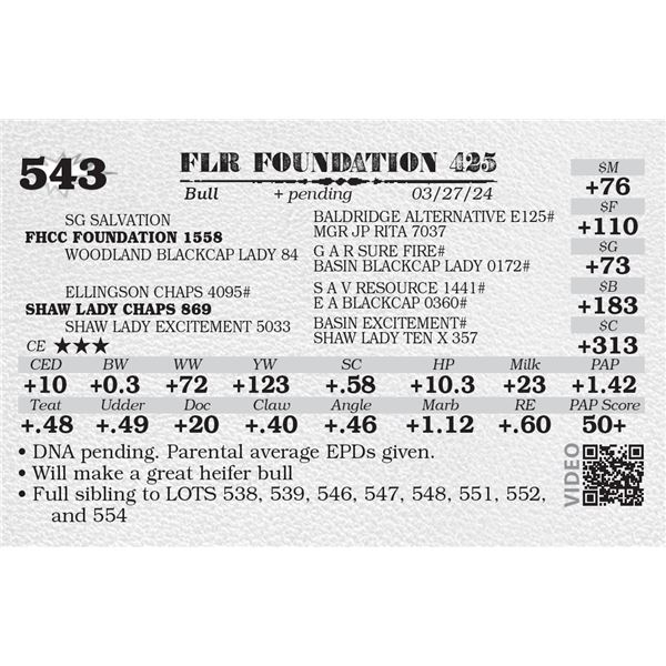 FLR FOUNDATION 425