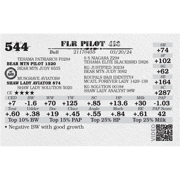 FLR PILOT 413