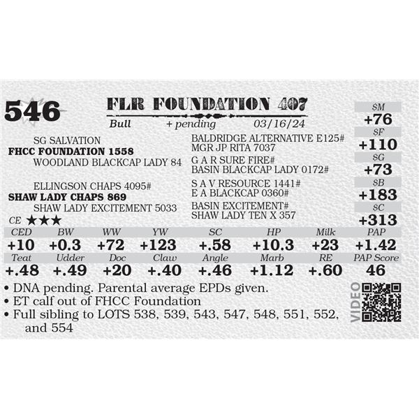 FLR FOUNDATION 407