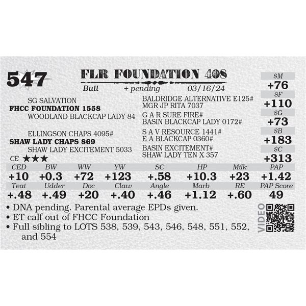 FLR FOUNDATION 408