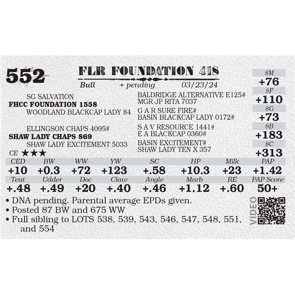 FLR FOUNDATION 418