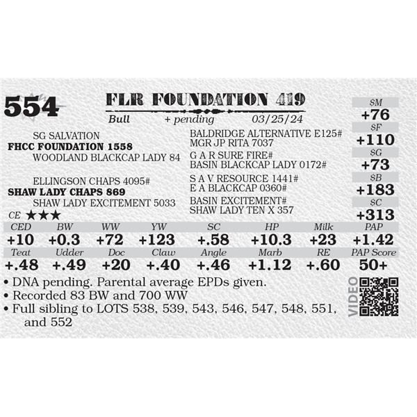FLR FOUNDATION 419