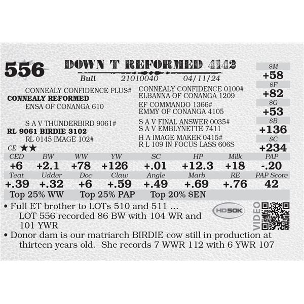 DOWN T REFORMED 4142