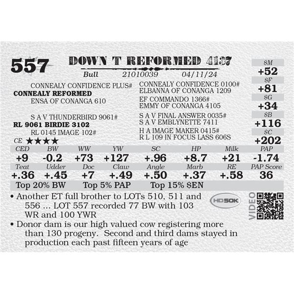 DOWN T REFORMED 4137