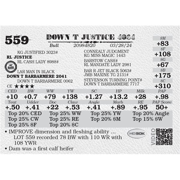 DOWN T JUSTICE 4034