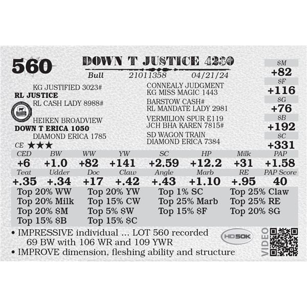 DOWN T JUSTICE 4230