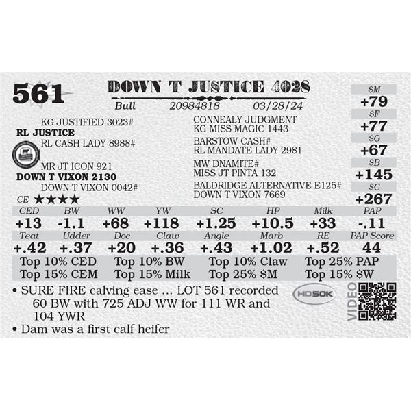 DOWN T JUSTICE 4028