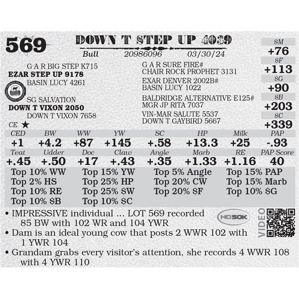 DOWN T STEP UP 4039