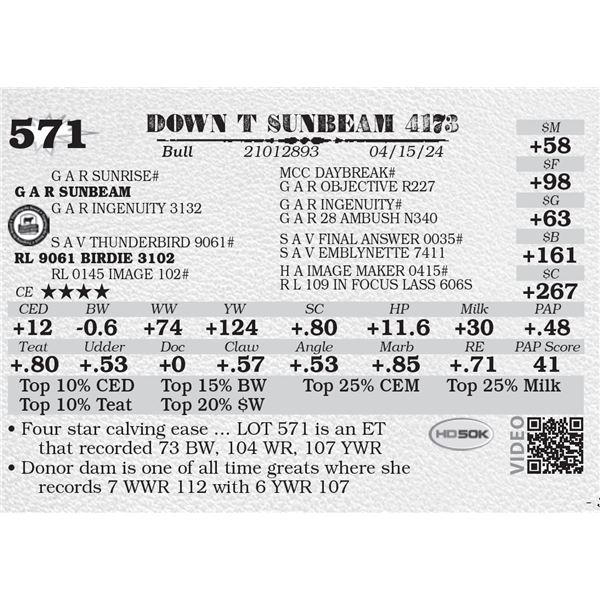 DOWN T SUNBEAM 4173