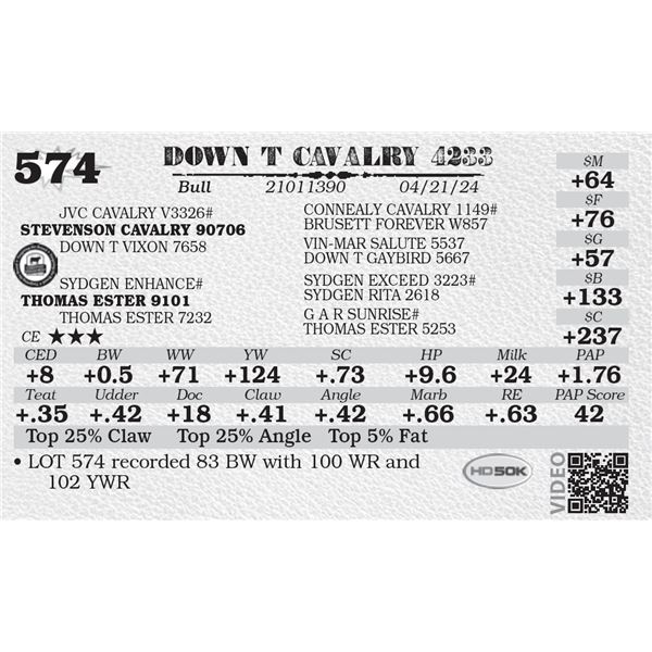 DOWN T CAVALRY 4233