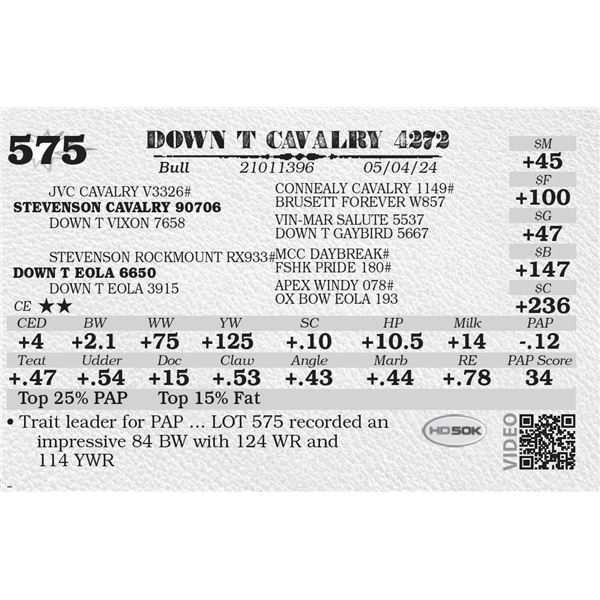 DOWN T CAVALRY 4272