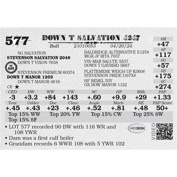 DOWN T SALVATION 4247