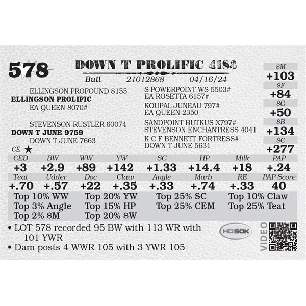 DOWN T PROLIFIC 4183
