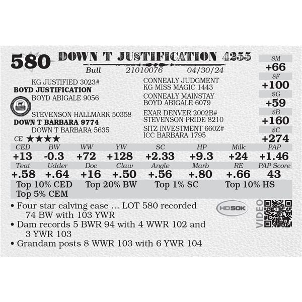 DOWN T JUSTIFICATION 4255