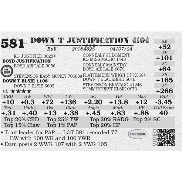 DOWN T JUSTIFICATION 4104