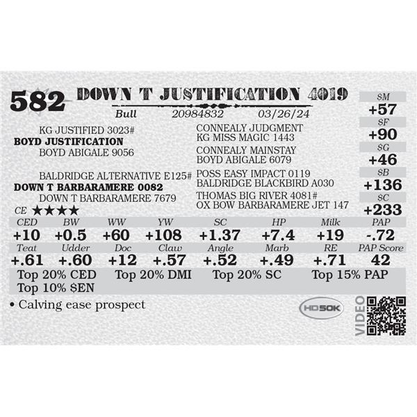 DOWN T JUSTIFICATION 4019