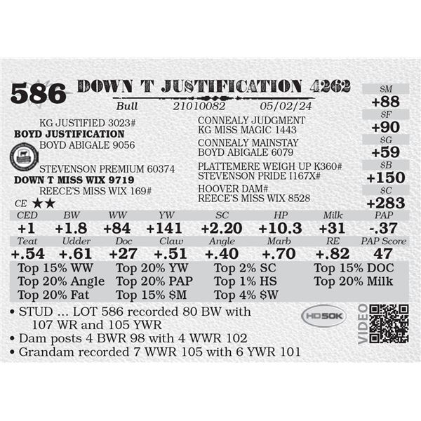 DOWN T JUSTIFICATION 4262