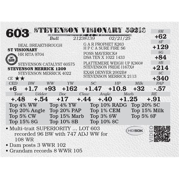 STEVENSON VISIONARY 50213