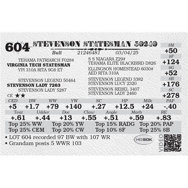 STEVENSON STATESMAN 50240