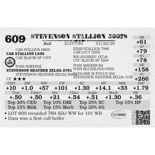 STEVENSON STALLION 50078