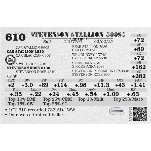 STEVENSON STALLION 50084