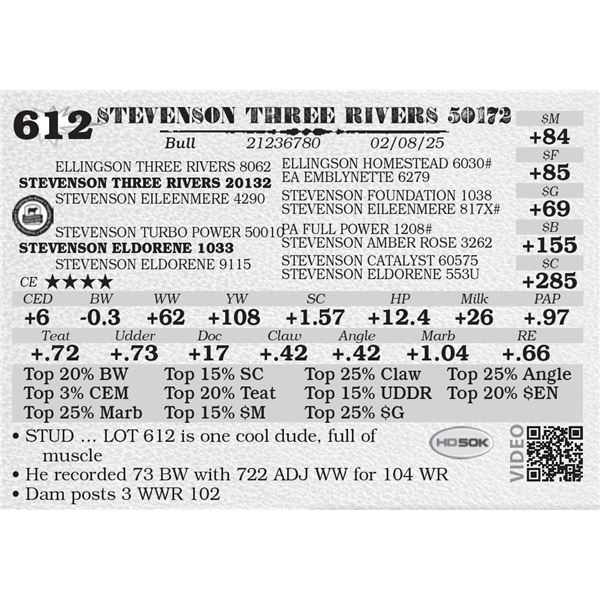 STEVENSON THREE RIVERS 50172