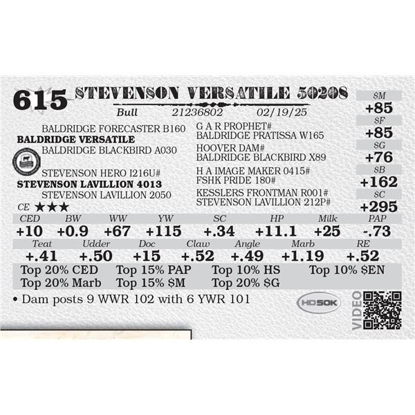STEVENSON VERSATILE 50208