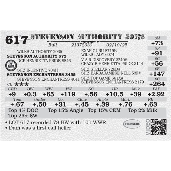 STEVENSON AUTHORITY 50175