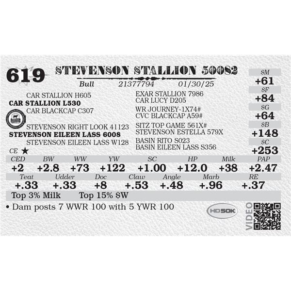 STEVENSON STALLION 50082