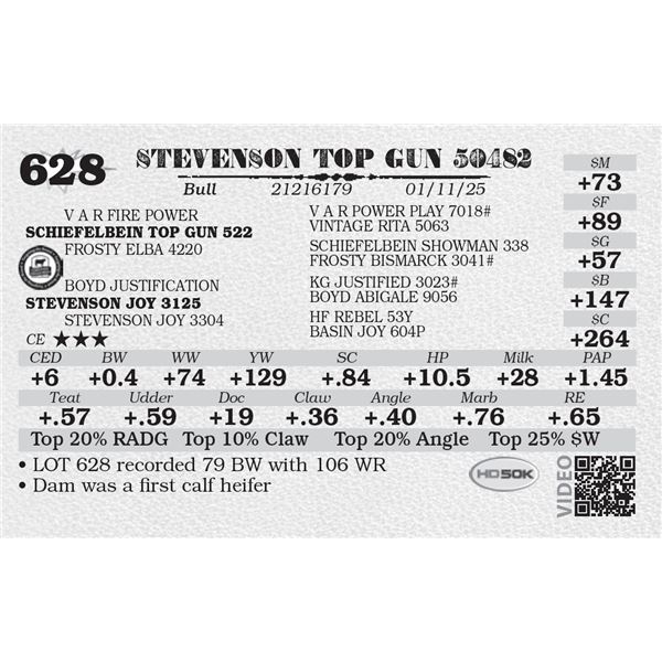 STEVENSON TOP GUN 50482