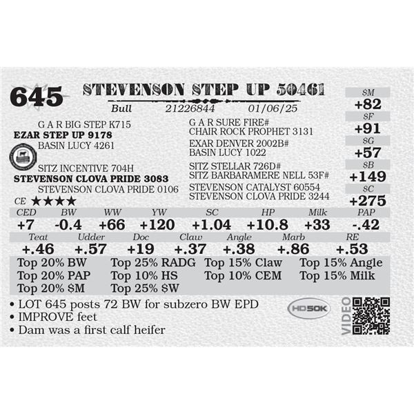 STEVENSON STEP UP 50461